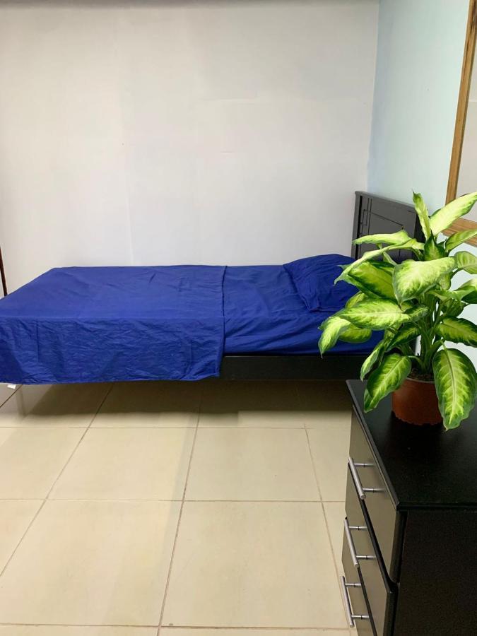 Global House Cr Hostel Backpackers Alajuela Habitacion Compartida 2 Camas Por Habitacion מראה חיצוני תמונה